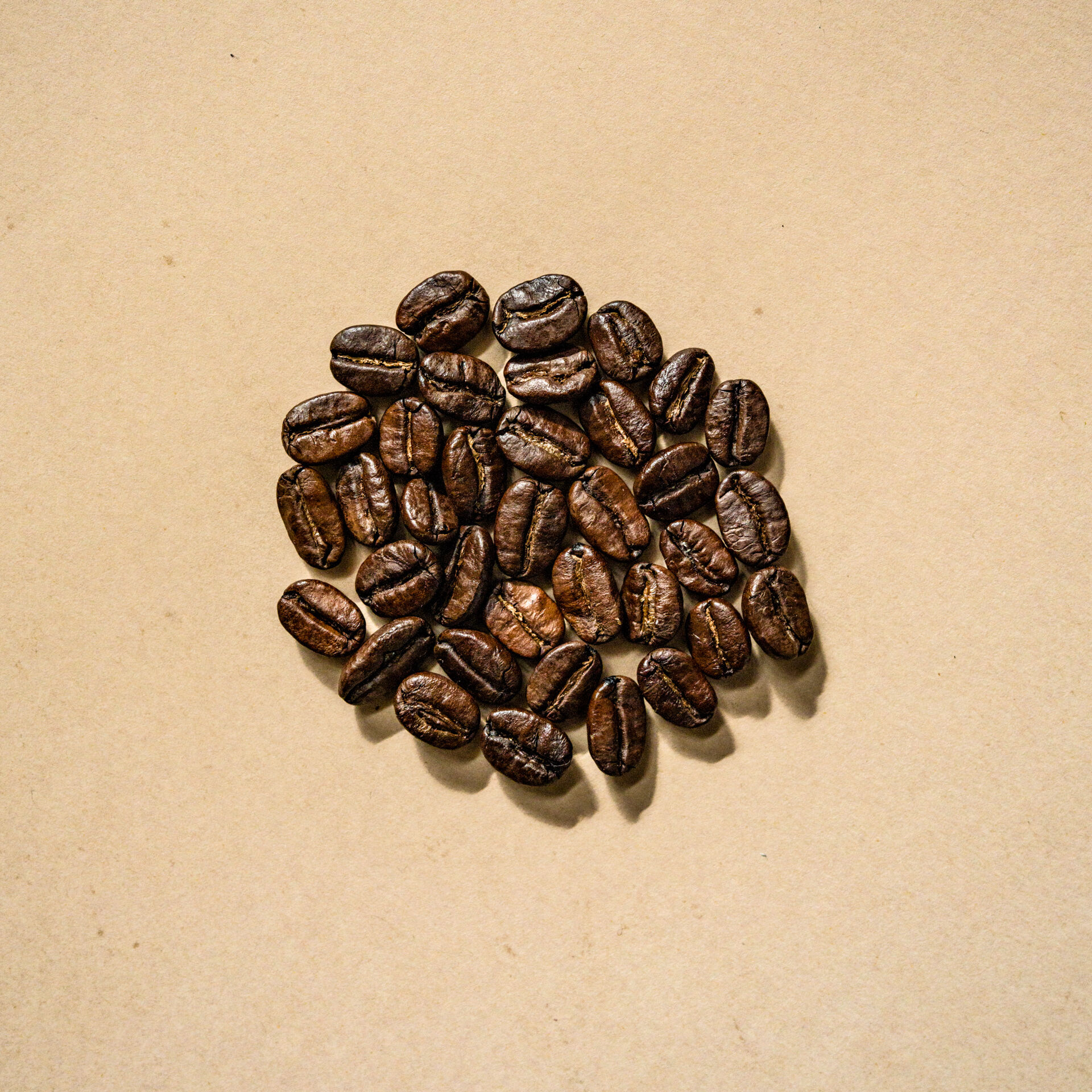 Testshooting zum Thema «Kaffee»