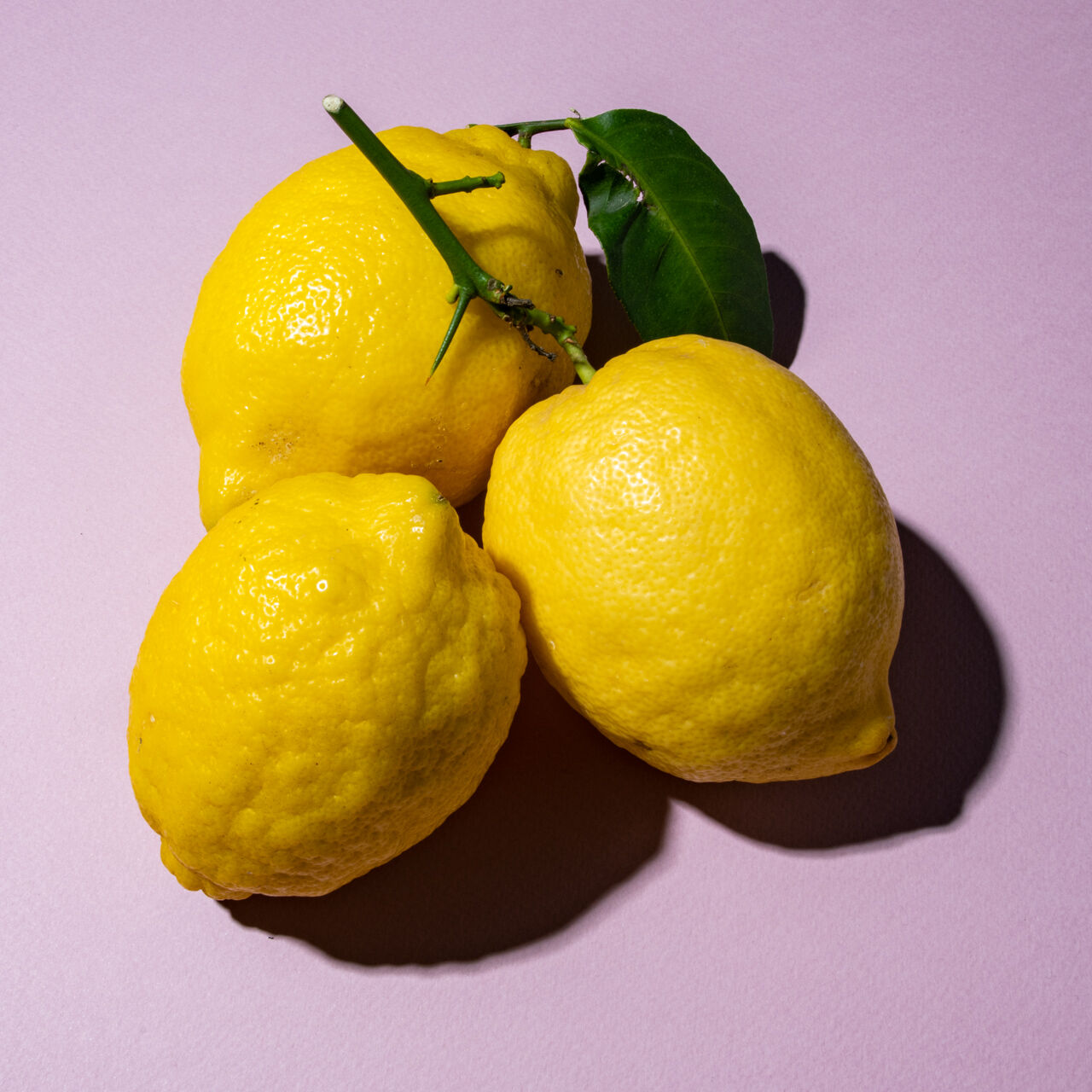 Einladungskarte für Sommerfest der BGaare + b20